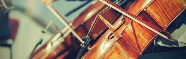 Assurance pour les instruments de musique : une protection pour les passionnés et les collectionneurs